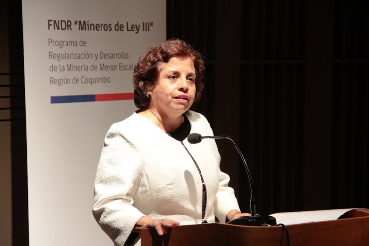 Ministra Williams da el vamos a la postulación de los Fondos de Implementación FNDR “Mineros de ley III”