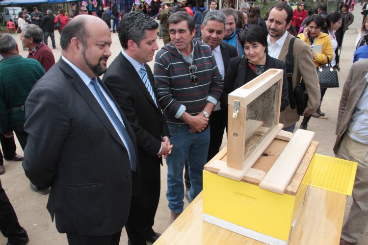 Desarrollo de Política rural y uso del agua marcan celebración del Día del Campesino