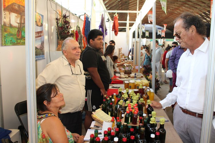 Positivo balance tras cierre de Expo Región de Coquimbo 2016