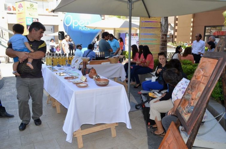 CORE y Municipio de Monte Patria lanzan 10° versión del festival Carnaval del Paloma