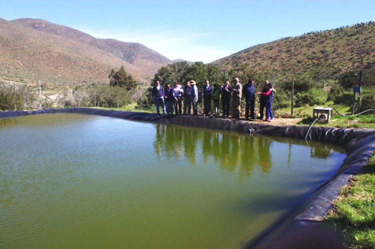 Potencian desarrollo productivo en Canela con mejoras en infraestructura de riego