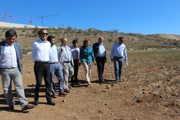 Consejeros Regionales manifiestan preocupación por terreno donde se construirá CFT de Ovalle