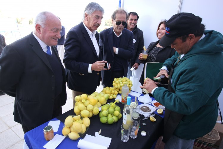 Agricultores del Limarí conmemoran Día del Campesino en Monte Patria