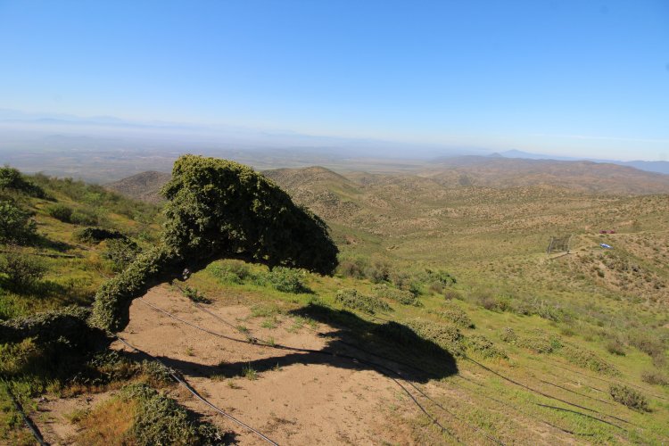 Comunidades rurales enfrentan la sequía con exitosa experiencia de atrapanieblas