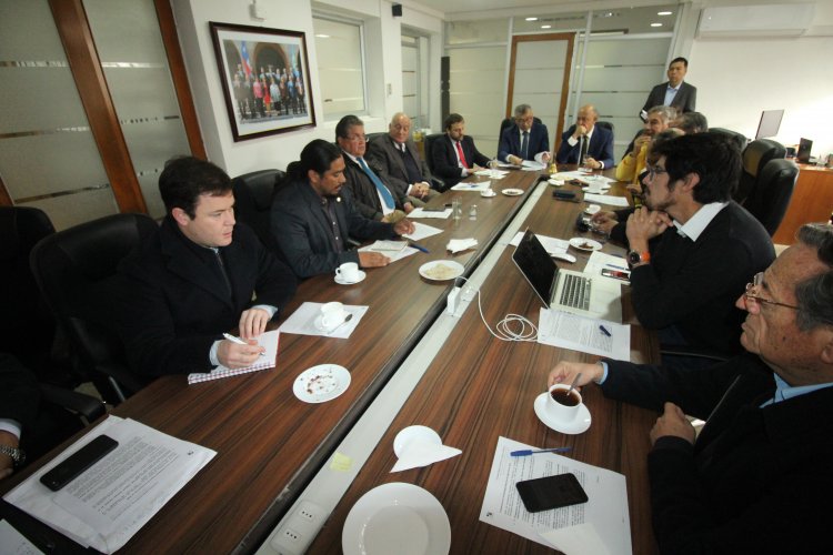 Representantes de empresa Andes Iron exponen avances y medidas del proyecto minero Dominga al Consejo Regional