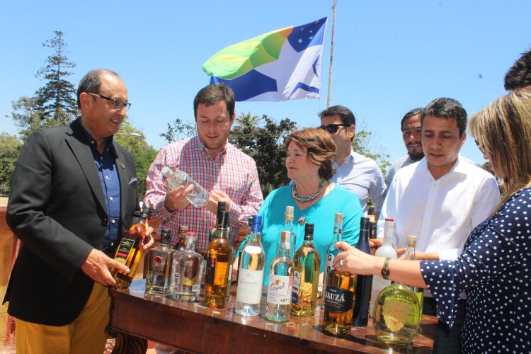 Consejo Regional respalda a productores de pisco ante caída de ventas y complejo escenario internacional