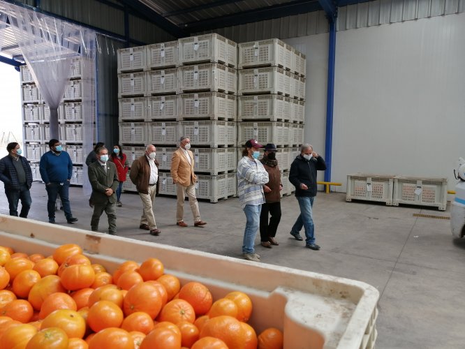 Consejeros conocen proyectos que han aportado a la matriz productiva en comunas pertenecientes al programa de Zonas Rezagadas