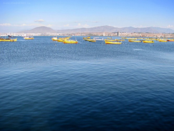 CEAZA busca definir lugares idóneos de menor impacto a la biodiversidad marina para la instalación de plantas desaladoras en la bahía de Coquimbo