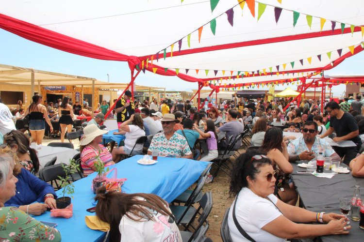 Por segundo año consecutivo más de 5 mil asistentes visitaron la caleta San Pedro para la Fiesta Costumbrista de la Macha