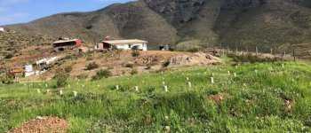 $2.439 millones invierte el GORE en Proyectos de Electrificación Rural Cajón del Romero La Serena y Punillas en Ovalle